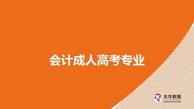 會(huì)計(jì)成人高考專(zhuān)業(yè)