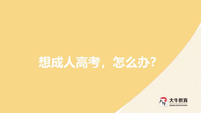 想成人高考，怎么辦？