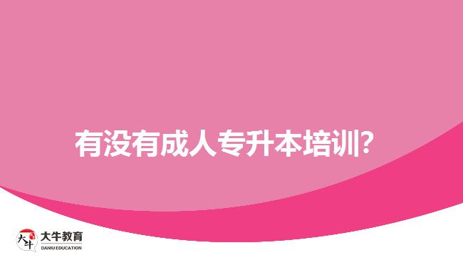 有沒(méi)有成人專(zhuān)升本培訓(xùn)？