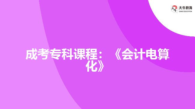 成考?？普n程：《會(huì)計(jì)電算化》