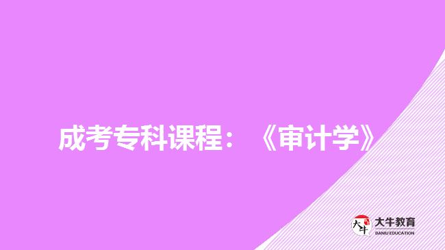 成考?？普n程：《審計(jì)學(xué)》