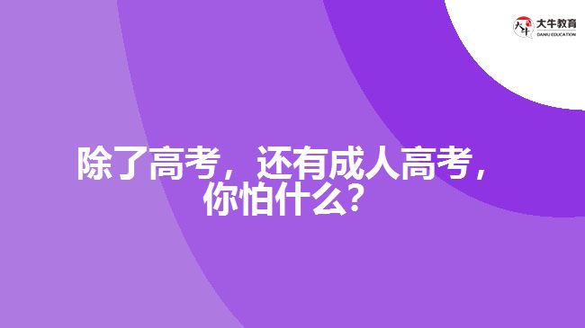 除了高考，還有成人高考，你怕什么？