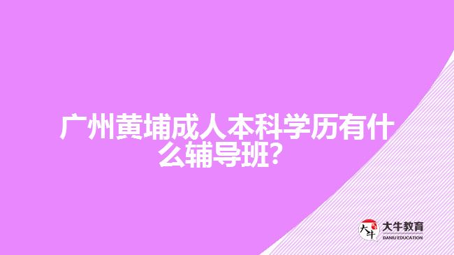廣州黃埔成人本科學(xué)歷有什么輔導(dǎo)班？