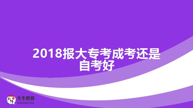 2018報(bào)大?？汲煽歼€是自考好