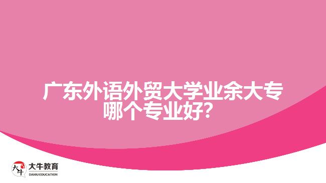 廣東外語(yǔ)外貿(mào)大學(xué)業(yè)余大專哪個(gè)專業(yè)好？