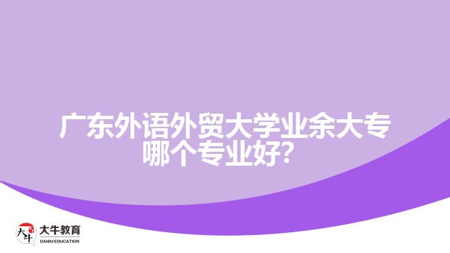廣東外語外貿大學業(yè)余大專哪個專業(yè)好？