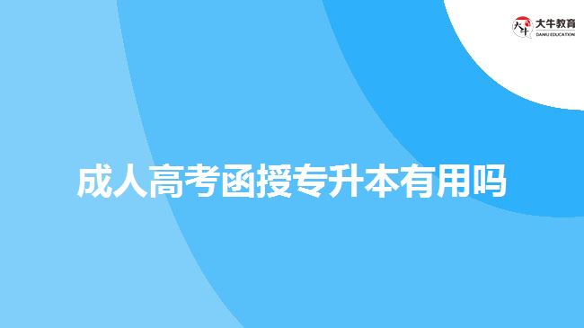 成人高考函授專(zhuān)升本有用嗎