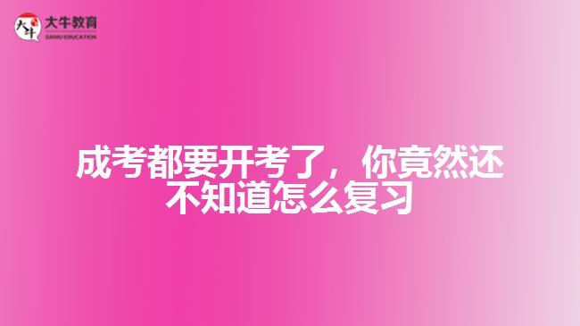 成考都要開考了，你竟然還不知道怎么復(fù)習(xí)
