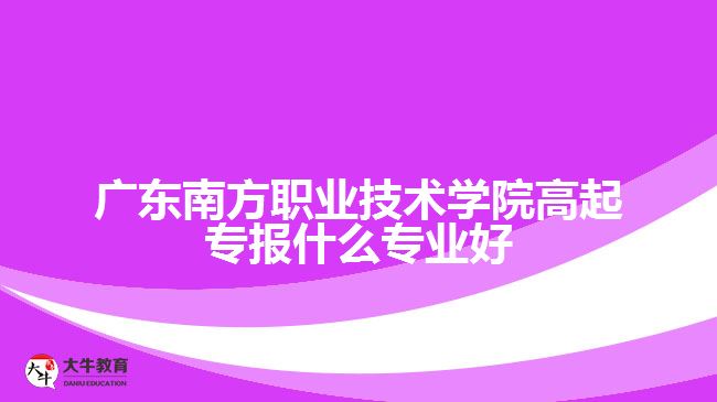 廣東南方職業(yè)技術(shù)學(xué)院高起專(zhuān)報(bào)什么專(zhuān)業(yè)好