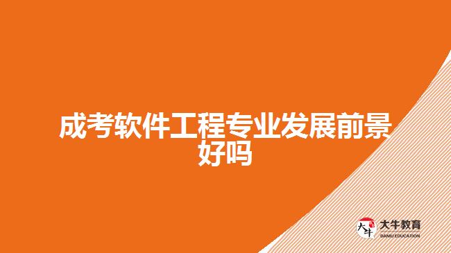 成考軟件工程專(zhuān)業(yè)發(fā)展前景好嗎