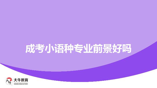成考小語(yǔ)種專業(yè)前景好嗎