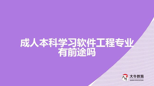 成人本科學(xué)習(xí)軟件工程專(zhuān)業(yè)有前途嗎
