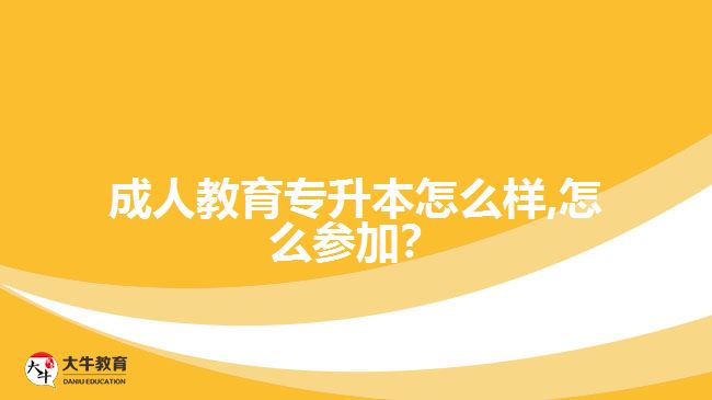 成人教育專升本怎么樣,怎么參加？