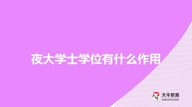 夜大學士學位有什么作用