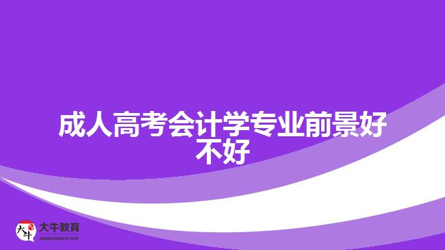 成人高考會(huì)計(jì)學(xué)專(zhuān)業(yè)前景好不好