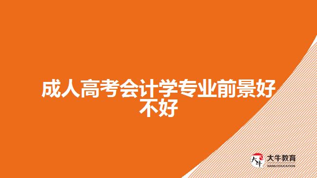 成人高考會計(jì)學(xué)專業(yè)前景好不好