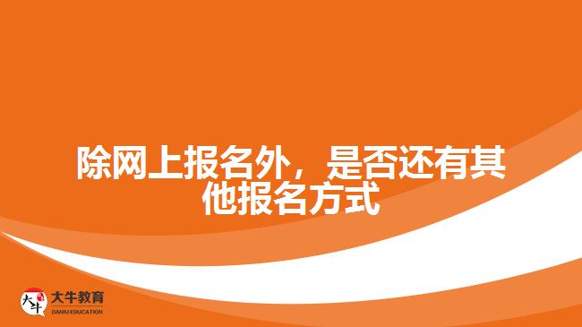 除網(wǎng)上報名外，是否還有其他報名方式