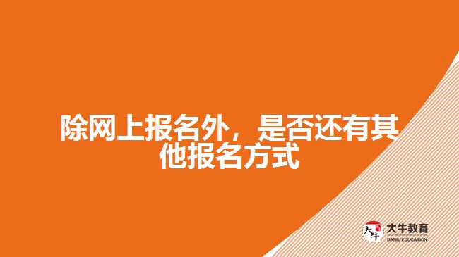 除網(wǎng)上報(bào)名外，是否還有其他報(bào)名方式