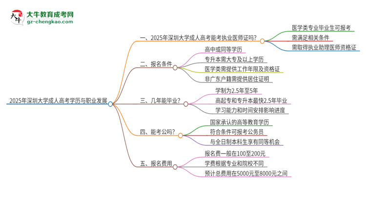 2025年深圳大學(xué)的成人高考學(xué)歷能報(bào)考執(zhí)業(yè)醫(yī)師證嗎？思維導(dǎo)圖