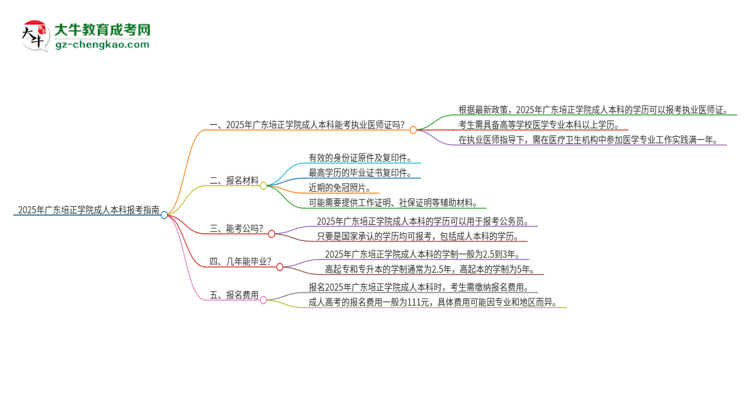 2025年廣東培正學(xué)院成人本科可否報考執(zhí)業(yè)醫(yī)師資格證？思維導(dǎo)圖