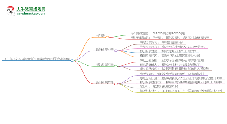 廣東成人高考護(hù)理學(xué)專(zhuān)業(yè)2025年報(bào)名流程思維導(dǎo)圖
