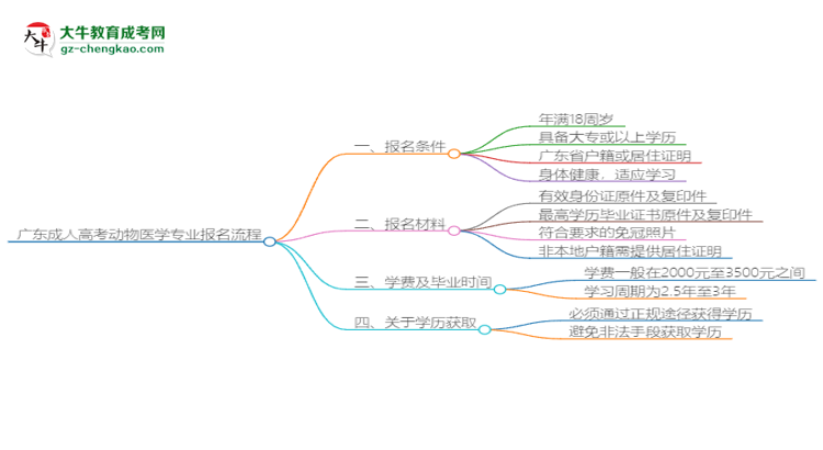 廣東成人高考動物醫(yī)學專業(yè)2025年報名流程思維導圖