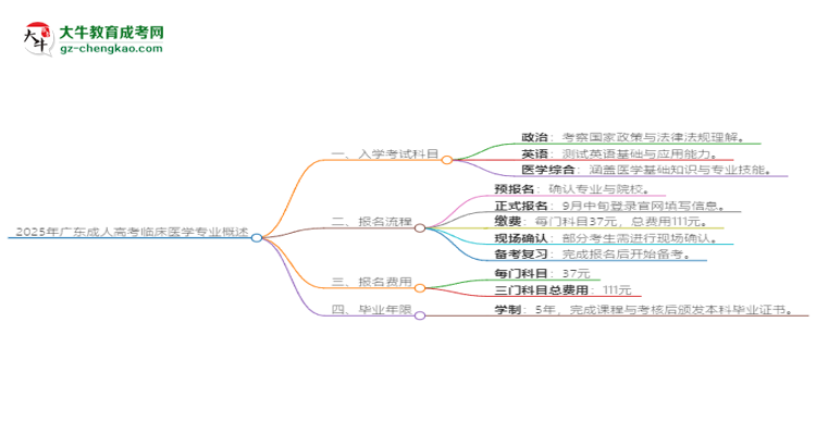 2025年廣東成人高考臨床醫(yī)學(xué)專業(yè)入學(xué)考試科目有哪些？思維導(dǎo)圖