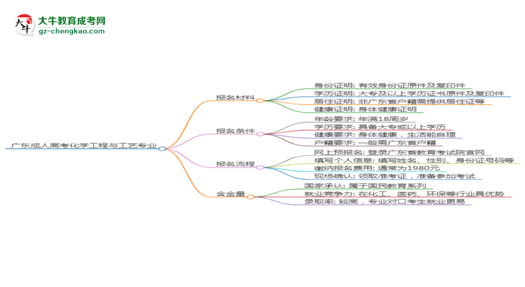 廣東2025年成人高考化學(xué)工程與工藝專業(yè)學(xué)歷能考公嗎？思維導(dǎo)圖