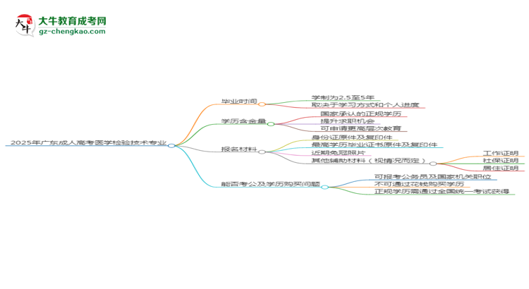 2025年廣東成人高考醫(yī)學(xué)檢驗技術(shù)專業(yè)報名材料需要什么？思維導(dǎo)圖