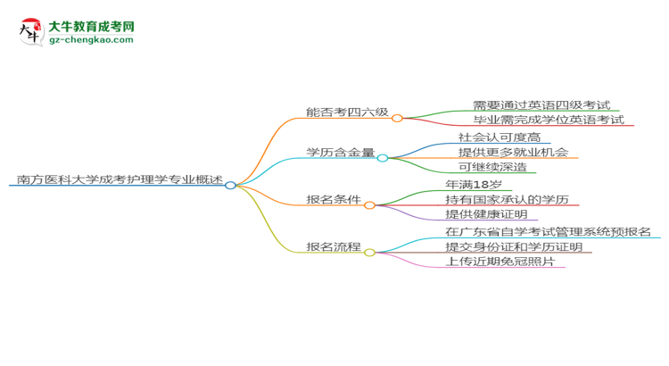 南方醫(yī)科大學2025年成考護理學專業(yè)生可不可以考四六級？思維導圖
