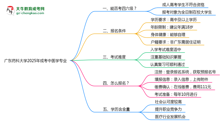 廣東藥科大學(xué)2025年成考中醫(yī)學(xué)專業(yè)生可不可以考四六級(jí)？思維導(dǎo)圖
