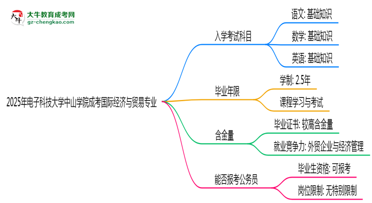 2025年電子科技大學(xué)中山學(xué)院成考國際經(jīng)濟(jì)與貿(mào)易專業(yè)入學(xué)考試科目有哪些？思維導(dǎo)圖