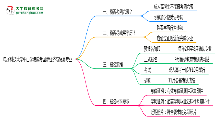 電子科技大學(xué)中山學(xué)院2025年成考國際經(jīng)濟(jì)與貿(mào)易專業(yè)生可不可以考四六級？思維導(dǎo)圖