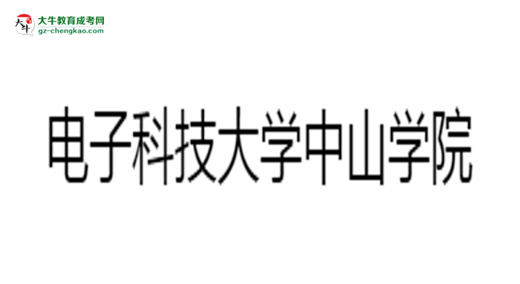 電子科技大學(xué)中山學(xué)院2025年成考財務(wù)管理專業(yè)生可不可以考四六級？思維導(dǎo)圖