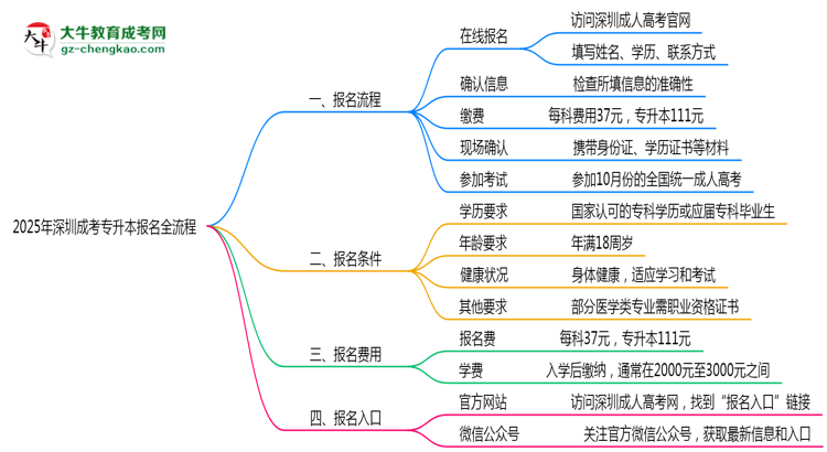 3分鐘讀懂：2025深圳成考專升本本科報名全流程思維導圖