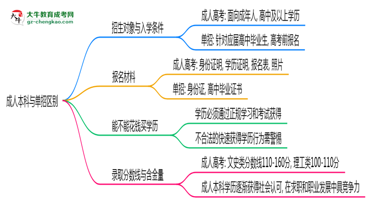成人本科與單招區(qū)別在哪？2025年深圳考生必看對(duì)比指南思維導(dǎo)圖