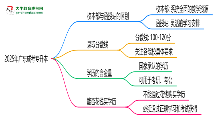 2025年報廣東成考專升本選校本部or函授站？區(qū)別解析思維導圖