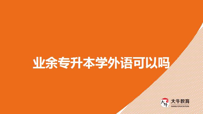 業(yè)余專(zhuān)升本學(xué)外語(yǔ)可以嗎