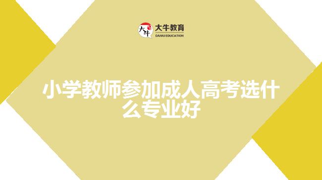 小學(xué)教師參加成人高考選什么專(zhuān)業(yè)好