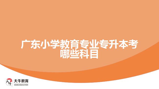 廣東小學(xué)教育專(zhuān)業(yè)專(zhuān)升本考哪些科目