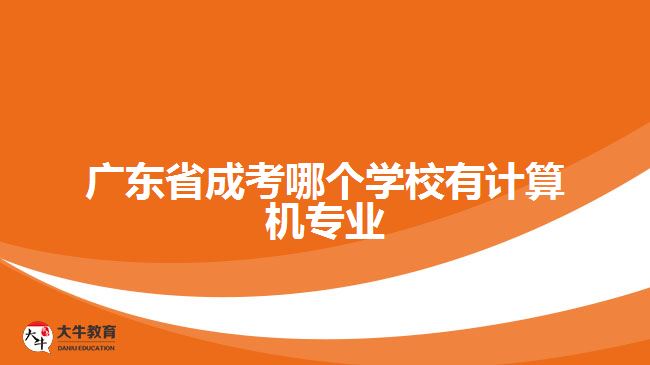廣東省成考哪個(gè)學(xué)校有計(jì)算機(jī)專(zhuān)業(yè)