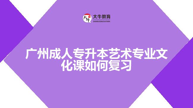 成人專升本藝術專業(yè)文化課如何復習