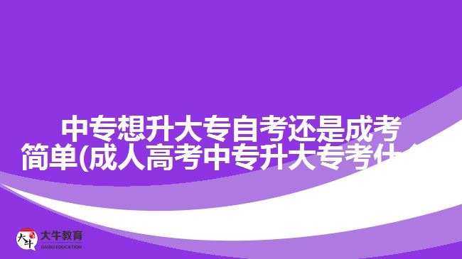中專想升大專自考還是成考簡單(成人高考中專升大?？际裁?