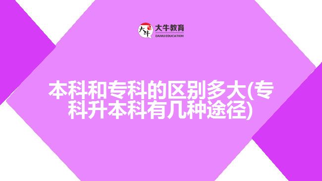 本科和專科的區(qū)別多大(?？粕究朴袔追N途徑)