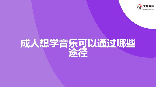 成人想學(xué)音樂(lè)可以通過(guò)哪些途徑