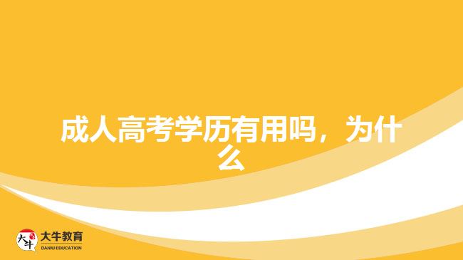 成人高考學歷有用嗎，為什么