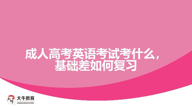 成人高考英語考試考什么，基礎差如何復習