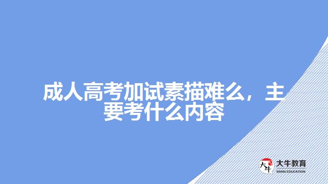 成人高考加試素描難么，主要考什么內(nèi)容
