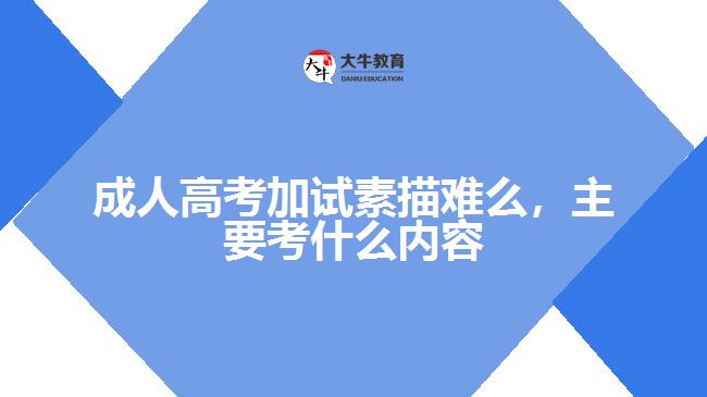 成人高考加試素描難么，主要考什么內(nèi)容