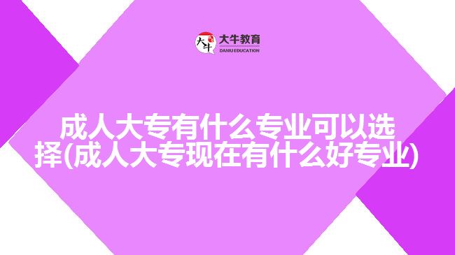 成人大專(zhuān)有什么專(zhuān)業(yè)可以選擇(成人大專(zhuān)現(xiàn)在有什么好專(zhuān)業(yè))